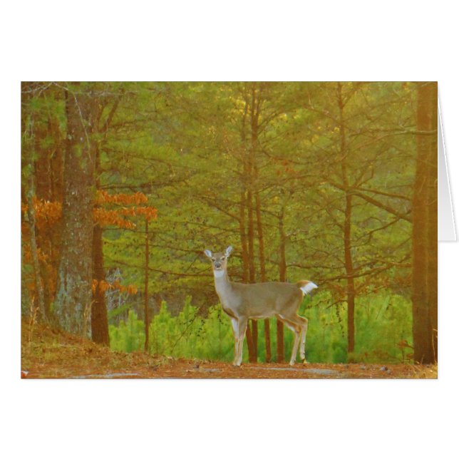 Product aanpassen (Voorkant Horizontaal)