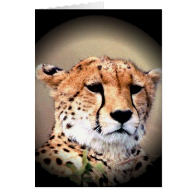 Product aanpassen (Voorkant)