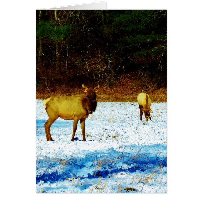 Product aanpassen (Voorkant)