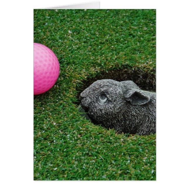 Product aanpassen (Voorkant)