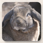 Product aanpassen bier onderzetter (Voorkant)