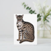 Product aanpassen briefkaart (Staand voorkant)