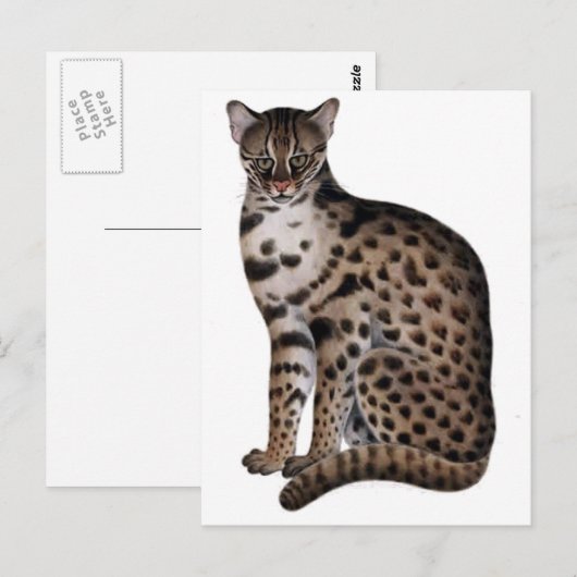 Product aanpassen briefkaart (Voorkant / Achterkant)