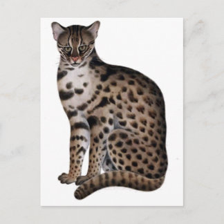 Product aanpassen briefkaart