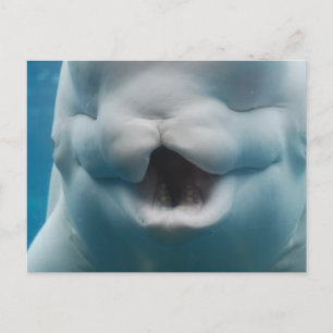 Product aanpassen briefkaart