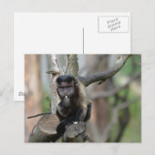 Product aanpassen briefkaart (Voorkant / Achterkant)