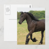 Product aanpassen briefkaart (Voorkant / Achterkant)