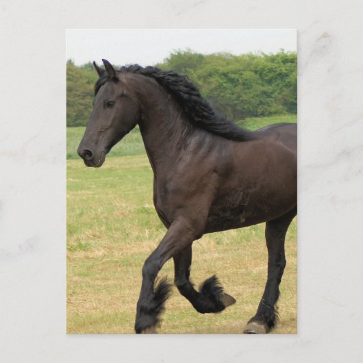 Product aanpassen briefkaart (Voorkant)