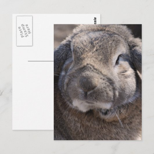 Product aanpassen briefkaart (Voorkant / Achterkant)