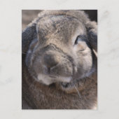 Product aanpassen briefkaart (Voorkant)