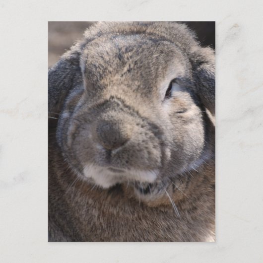 Product aanpassen briefkaart (Voorkant)