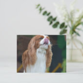 Product aanpassen briefkaart (Staand voorkant)