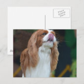 Product aanpassen briefkaart (Voorkant / Achterkant)