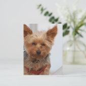 Product aanpassen briefkaart (Staand voorkant)