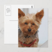 Product aanpassen briefkaart (Voorkant / Achterkant)