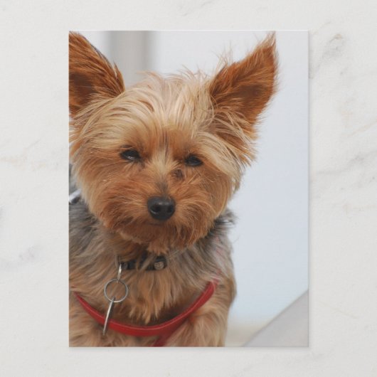 Product aanpassen briefkaart (Voorkant)