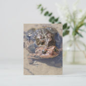 Product aanpassen briefkaart (Staand voorkant)