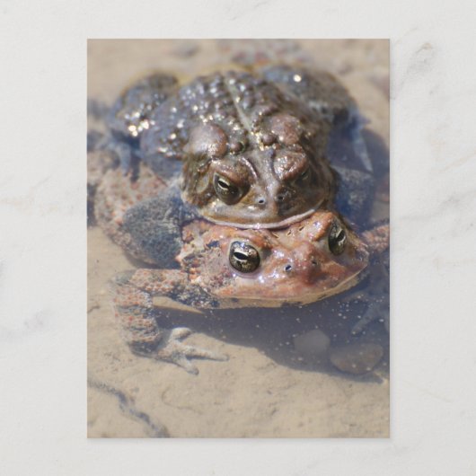 Product aanpassen briefkaart (Voorkant)