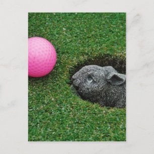 Product aanpassen briefkaart