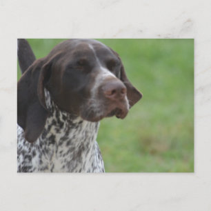 Product aanpassen briefkaart