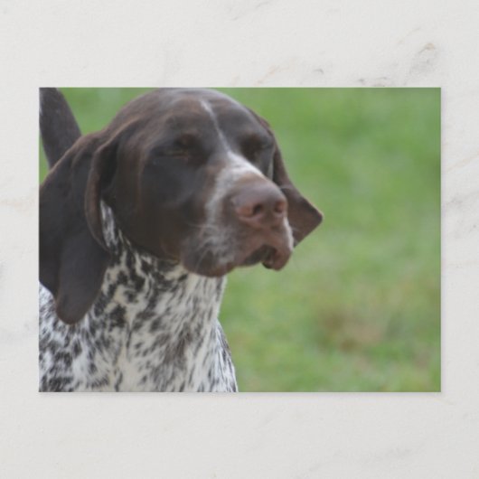 Product aanpassen briefkaart (Voorkant)