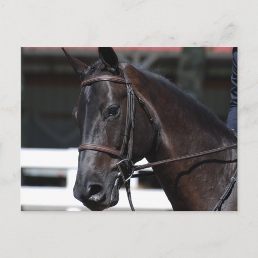 Product aanpassen briefkaart (Voorkant)