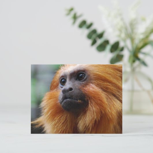 Product aanpassen briefkaart (Staand voorkant)