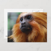 Product aanpassen briefkaart (Voorkant / Achterkant)