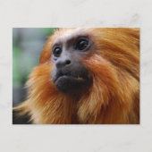 Product aanpassen briefkaart (Voorkant)