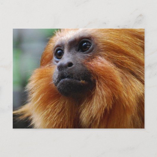 Product aanpassen briefkaart (Voorkant)