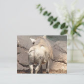 Product aanpassen briefkaart (Staand voorkant)