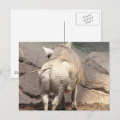 Product aanpassen briefkaart (Voorkant / Achterkant)