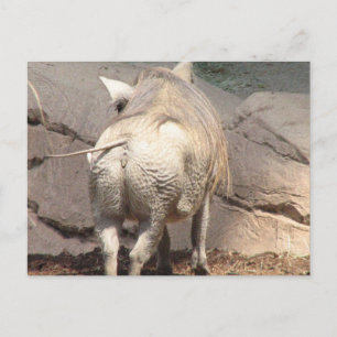 Product aanpassen briefkaart