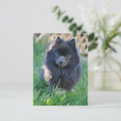 Product aanpassen briefkaart (Staand voorkant)