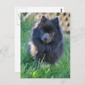 Product aanpassen briefkaart (Voorkant / Achterkant)