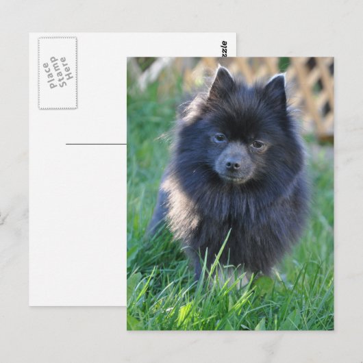 Product aanpassen briefkaart (Voorkant / Achterkant)