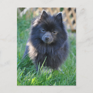 Product aanpassen briefkaart