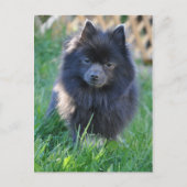 Product aanpassen briefkaart (Voorkant)