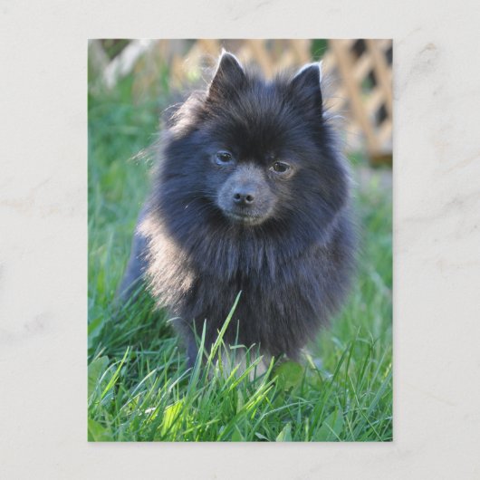 Product aanpassen briefkaart (Voorkant)