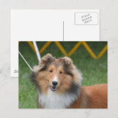 Product aanpassen briefkaart (Voorkant / Achterkant)