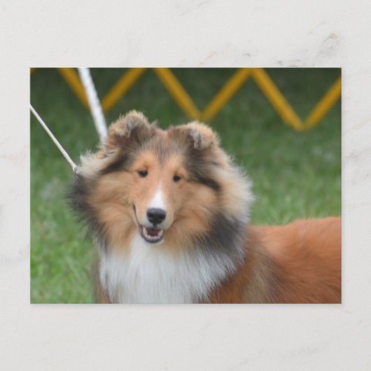 Product aanpassen briefkaart (Voorkant)