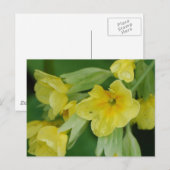 Product aanpassen briefkaart (Voorkant / Achterkant)