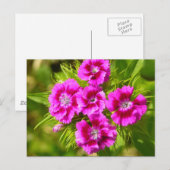 Product aanpassen briefkaart (Voorkant / Achterkant)