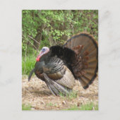 Product aanpassen briefkaart (Voorkant)