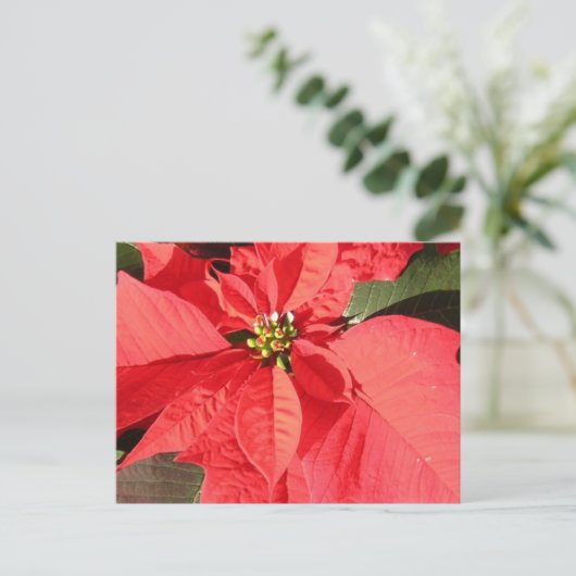 Product aanpassen briefkaart (Staand voorkant)