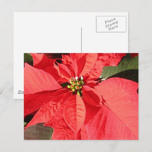 Product aanpassen briefkaart (Voorkant / Achterkant)