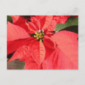 Product aanpassen briefkaart (Voorkant)