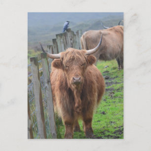 Product aanpassen briefkaart