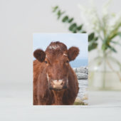 Product aanpassen briefkaart (Staand voorkant)