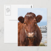 Product aanpassen briefkaart (Voorkant / Achterkant)
